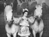 Circus and the City: New York 1793-2010