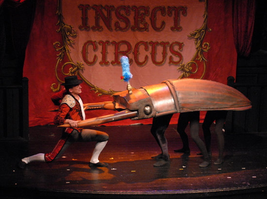 The Insect Circus
